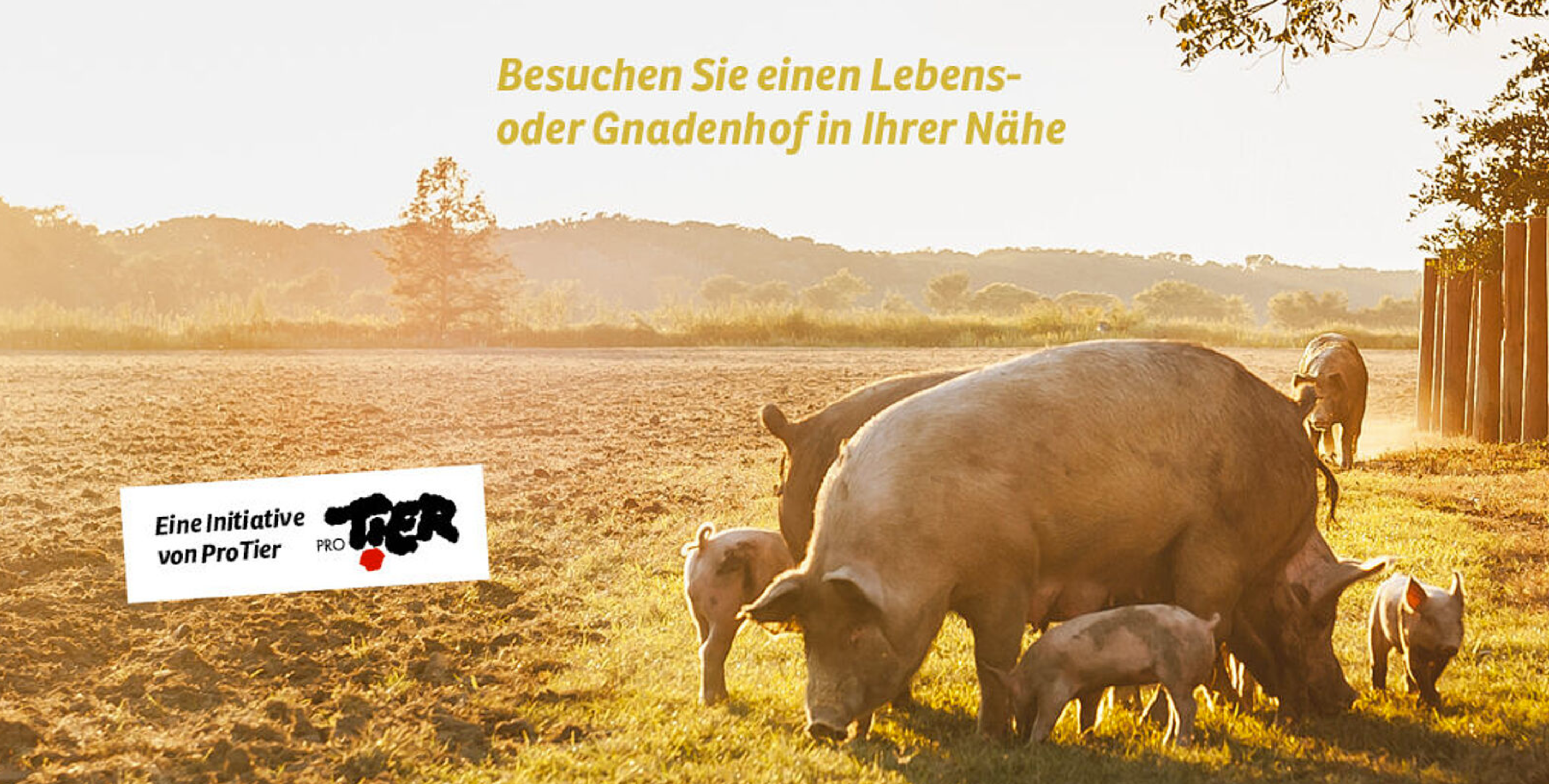 Read more about the article ProTier Hoftage 2023 – Das Refugium Neumüli ist auch dieses Jahr mit dabei